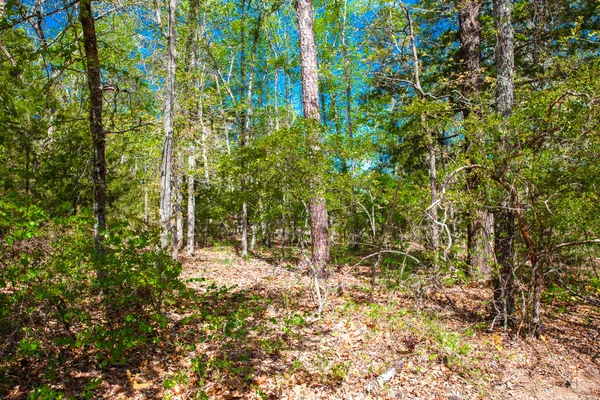 $315,000 | Lot 3 Smith Crawford Road, Thomson, GA 30824
