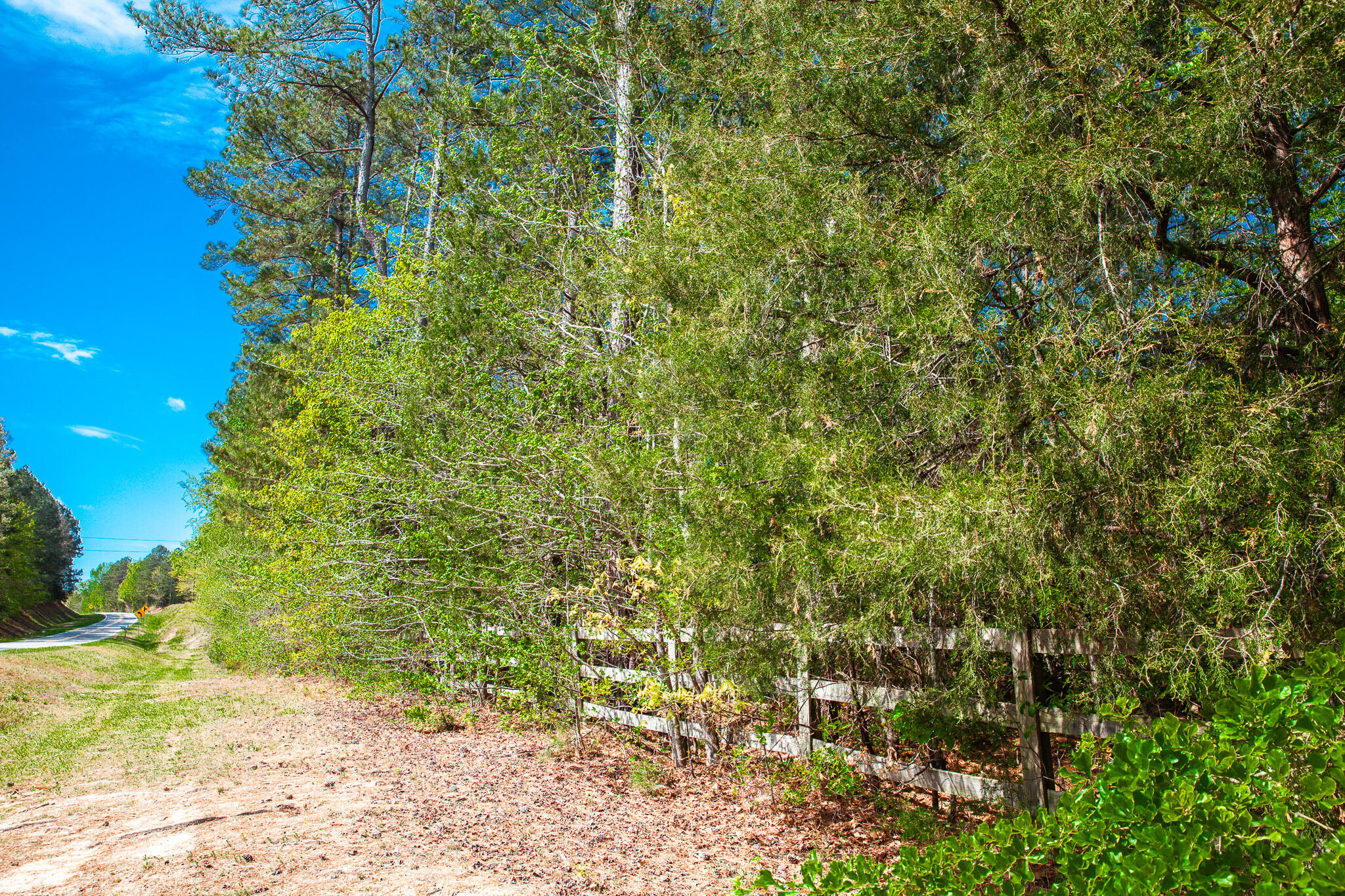 Lot 3 Smith Crawford Road Thomson, GA 30824 - Photo 10 of 19 IMG_5180