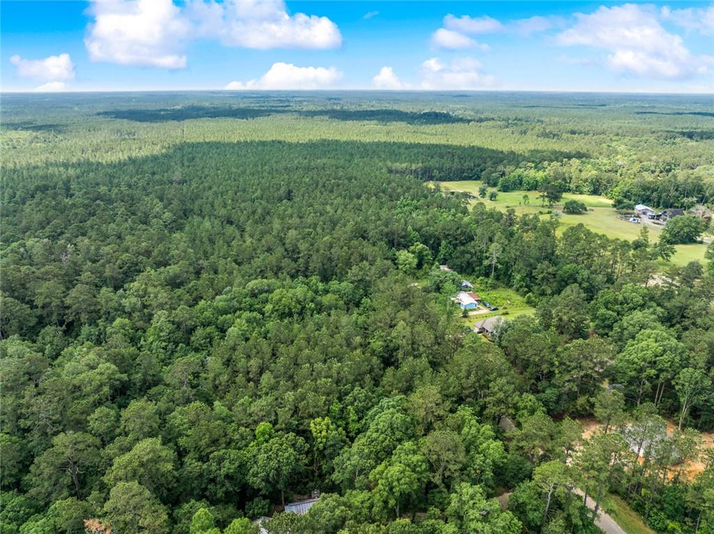 0 Henderson Road Covington, LA 70435 - Photo 2 of 7