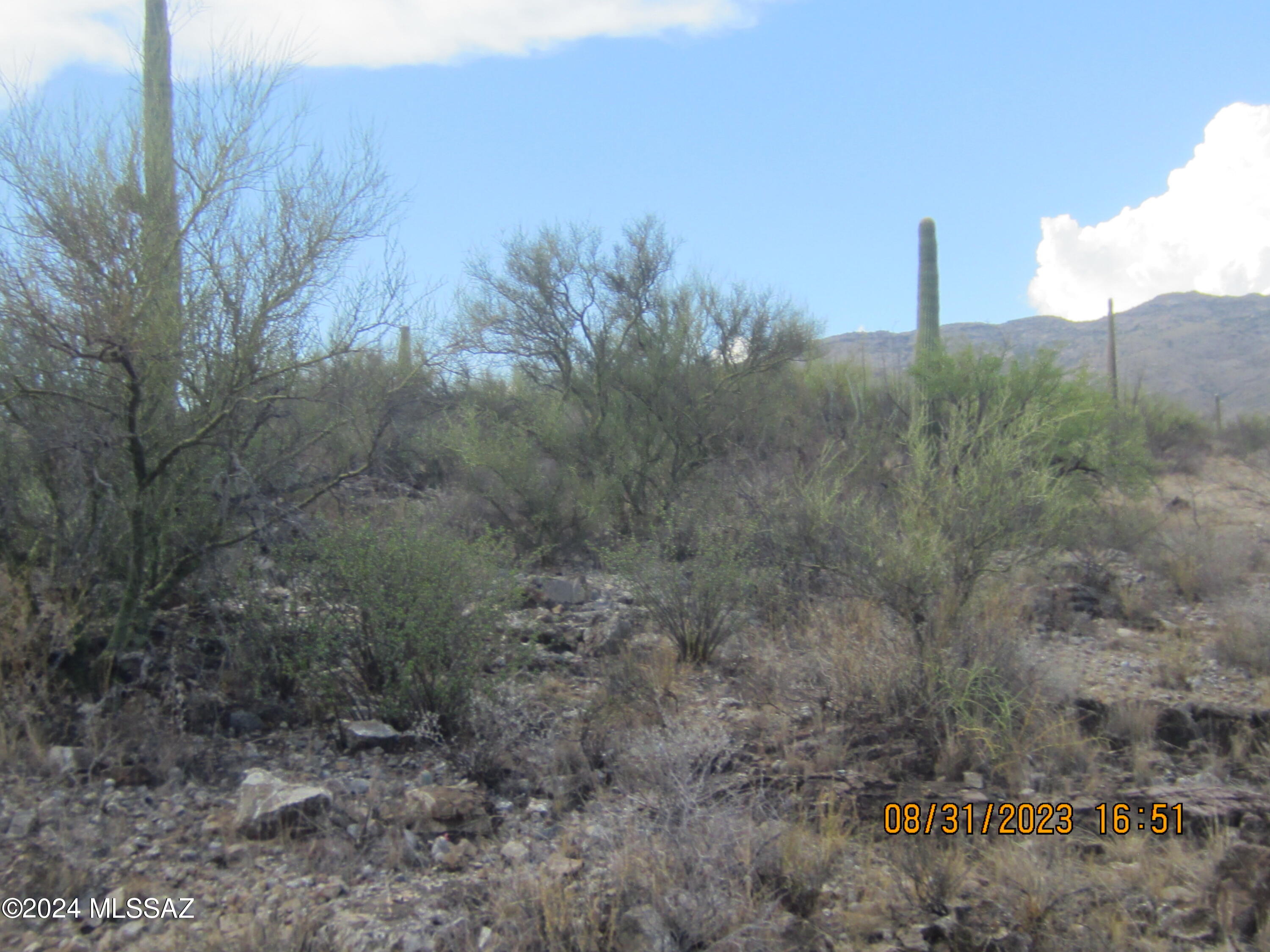 0 East Rincon Creek Ranch Road Tucson, AZ 85747 - Photo 38 of 46 Gallery Image 38