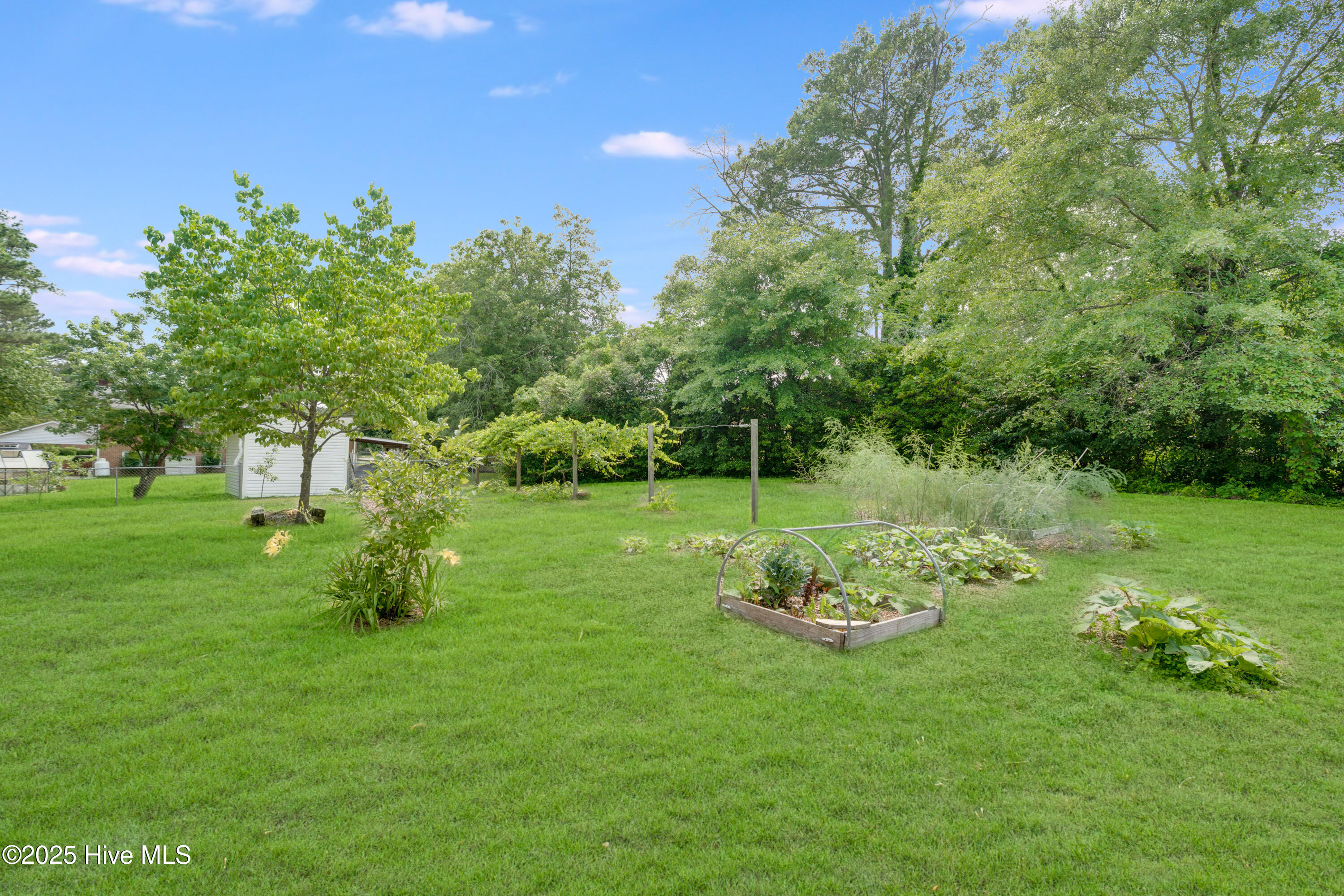 2022 Pinedale Road Rockingham, NC 28379 - Photo 43 of 50 DSC09282