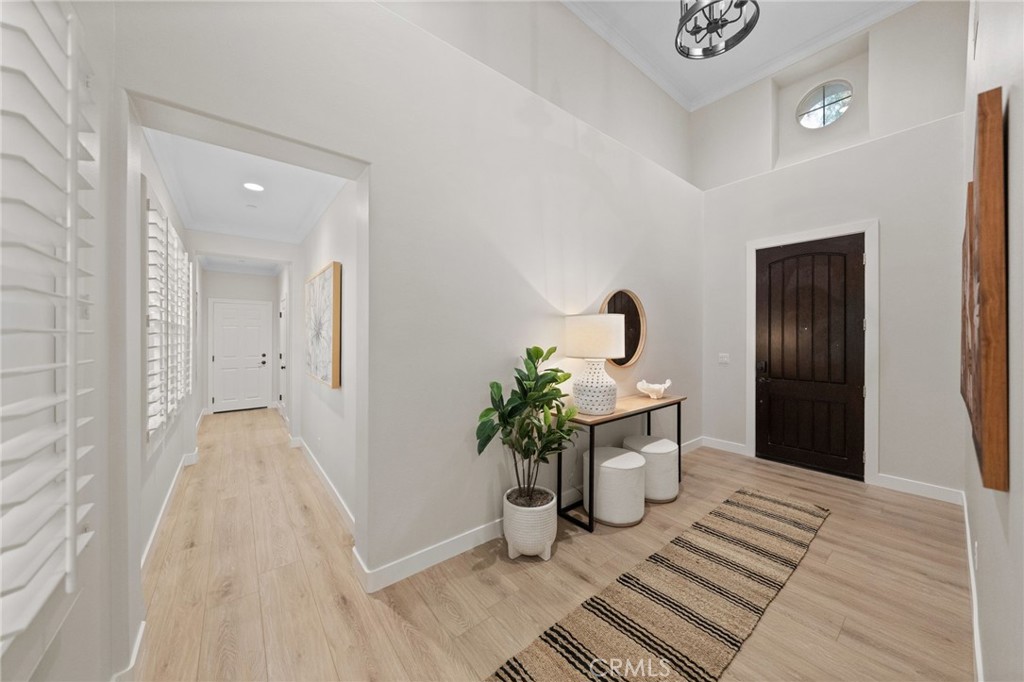 45 Shade Tree Irvine, CA 92603 - Photo 13 of 62 a living room with a couch and potted plant