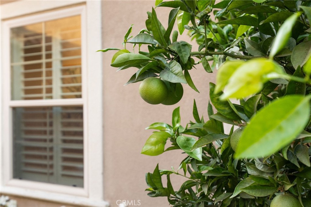 45 Shade Tree Irvine, CA 92603 - Photo 53 of 62