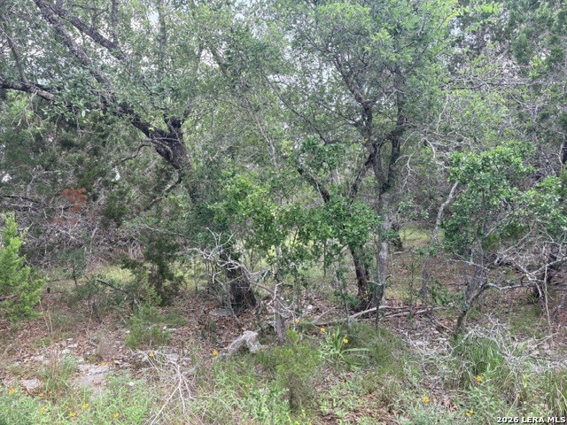 128 Coneflower Drive Spring Branch, TX 78070 - Photo 14 of 27