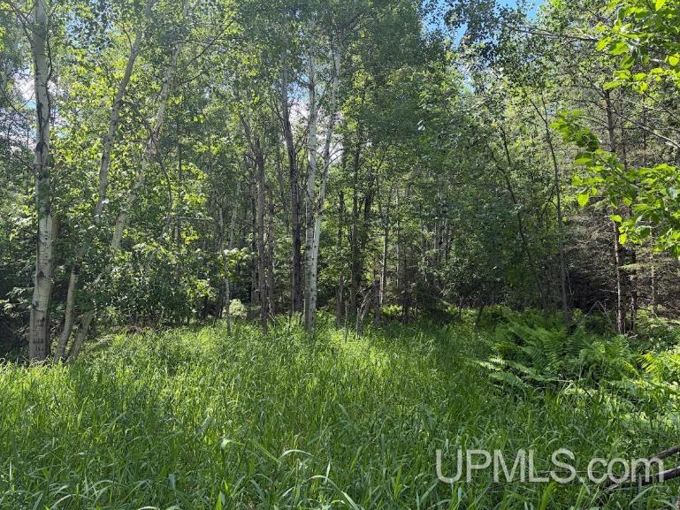 Parcel C Bellaire Road Baraga, MI 49908 - Photo 6 of 8