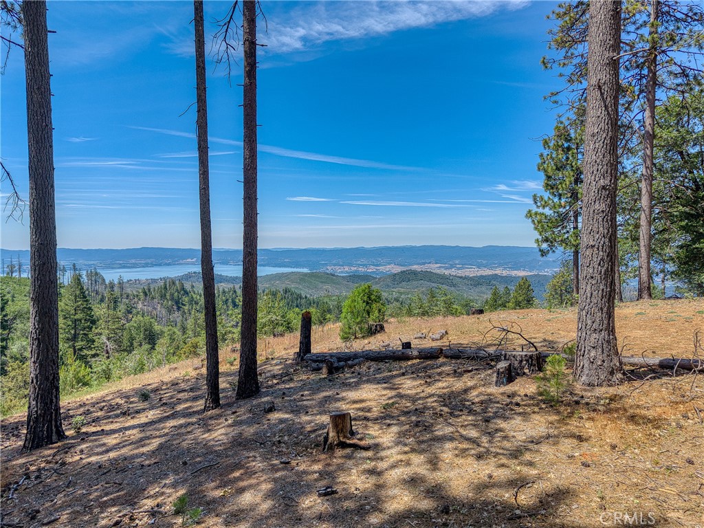6135 15 N 12 Road Upper Lake, CA 95485 - Photo 35 of 68