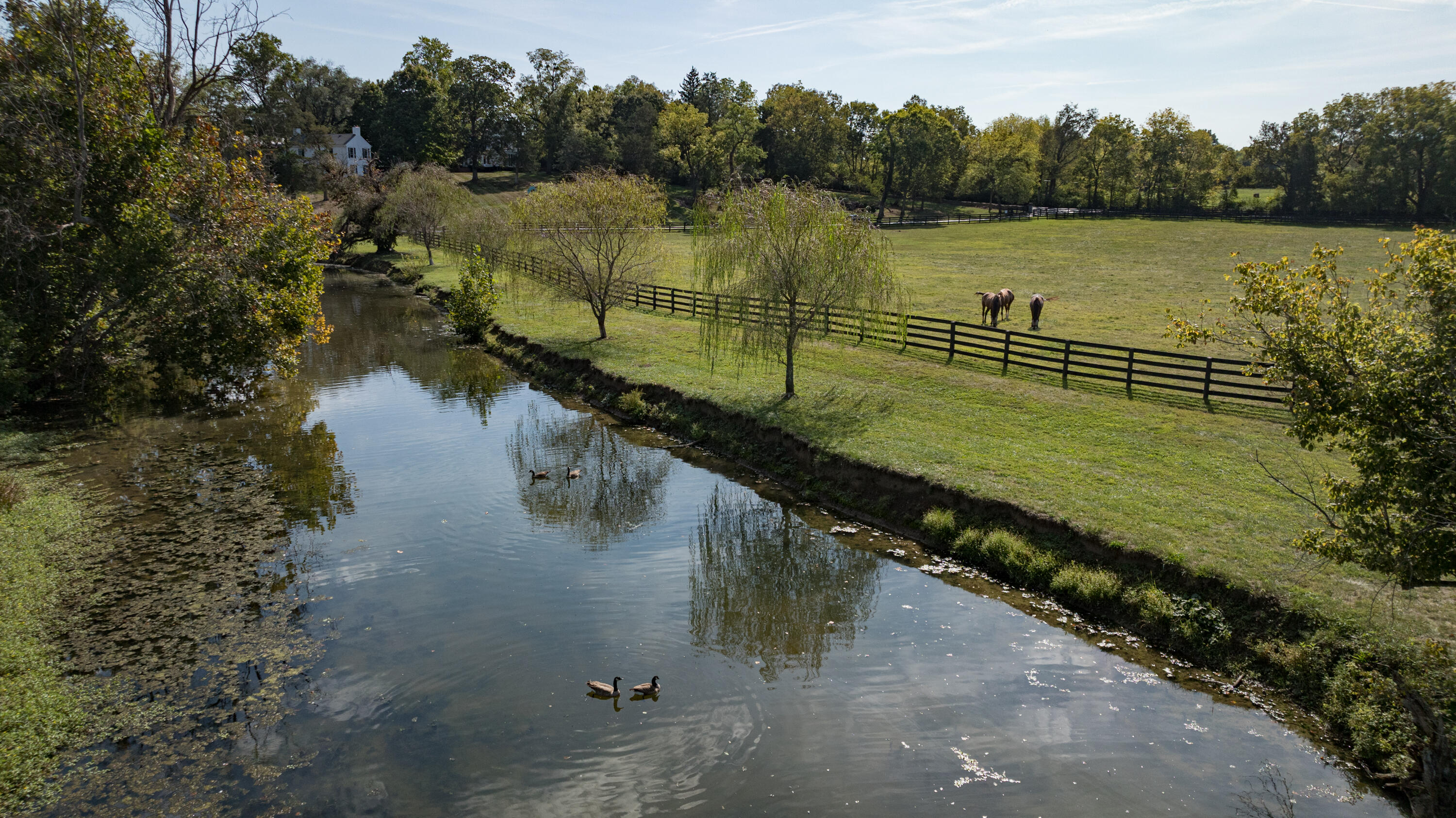 3521 Bryan Station Road Lexington, KY 40516 - Photo 39 of 42 24_0919_Whitney Farm_mw-9