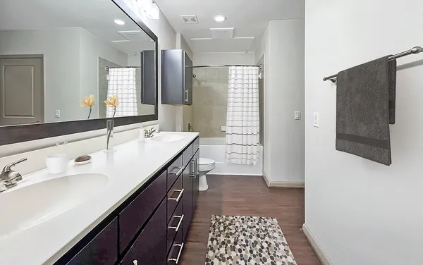 $1,870 | 206 McGowen Street, Unit 2201, Houston, TX 77006