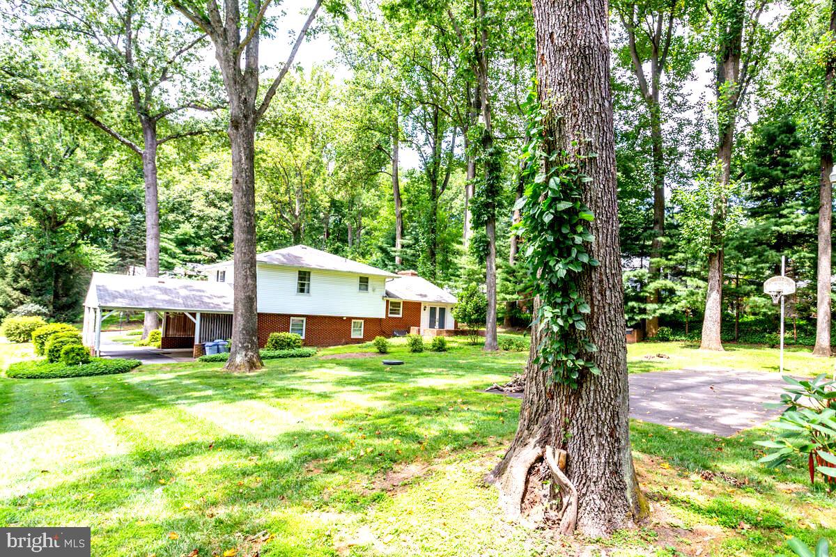 31 Cedarhill Road Randallstown, MD 21133 - Photo 63 of 64 Beautiful Shaded Back Yard