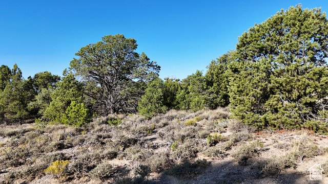 123 Tbd Prout Wash Road North Cedar City, UT 84721 - Photo 33 of 82