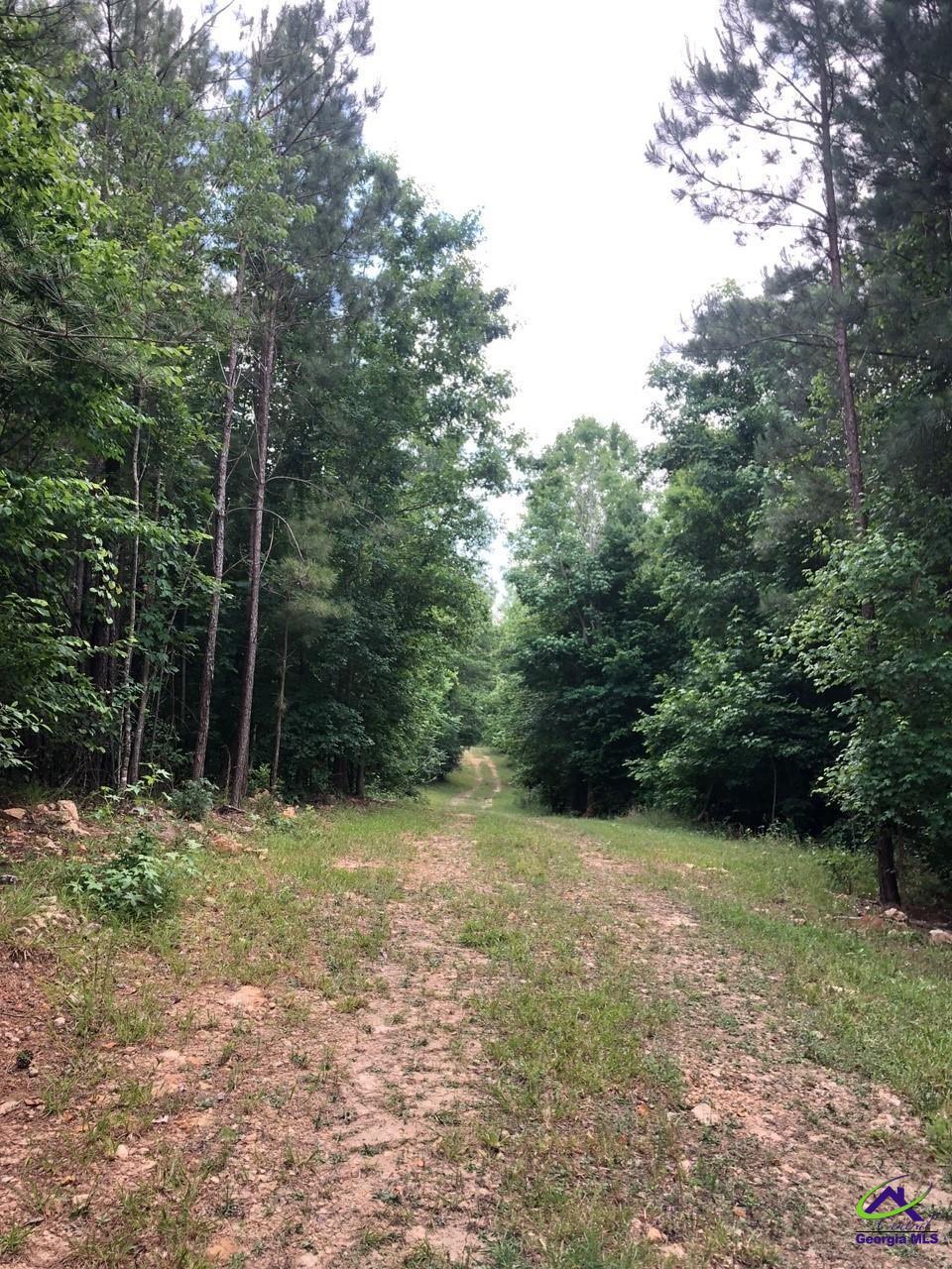 0 County Line Road Elko, GA 31025 - Photo 10 of 12