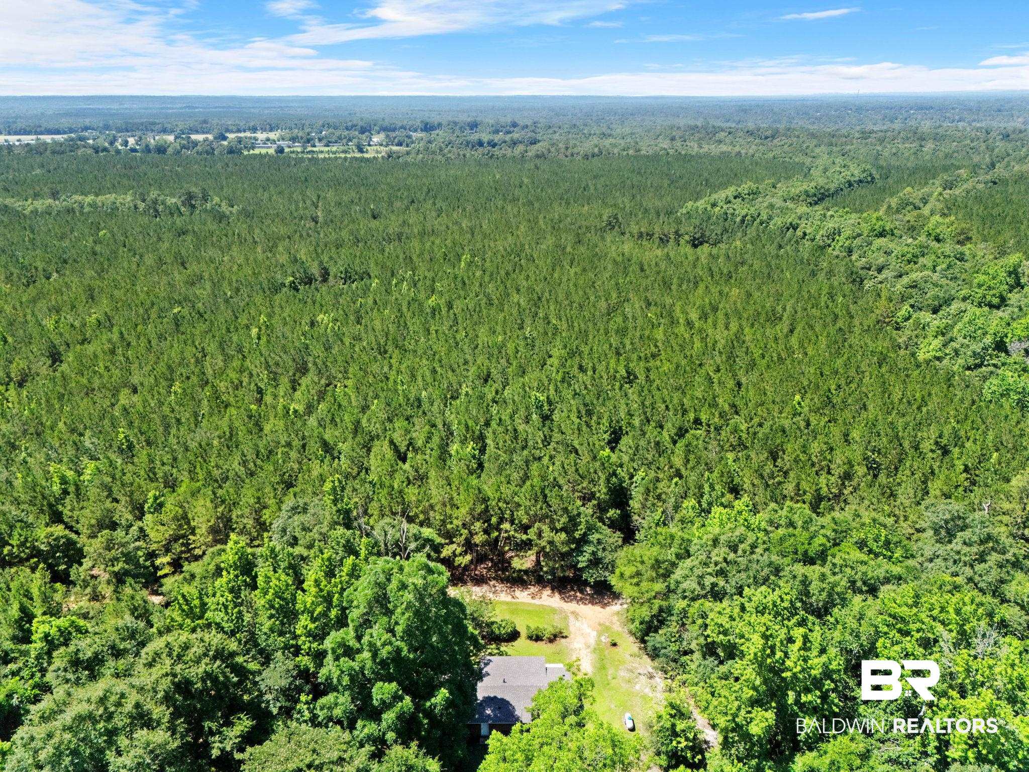 440 Hart Farm Road Flomaton, AL 36441 - Photo 42 of 46 Gallery Image 42