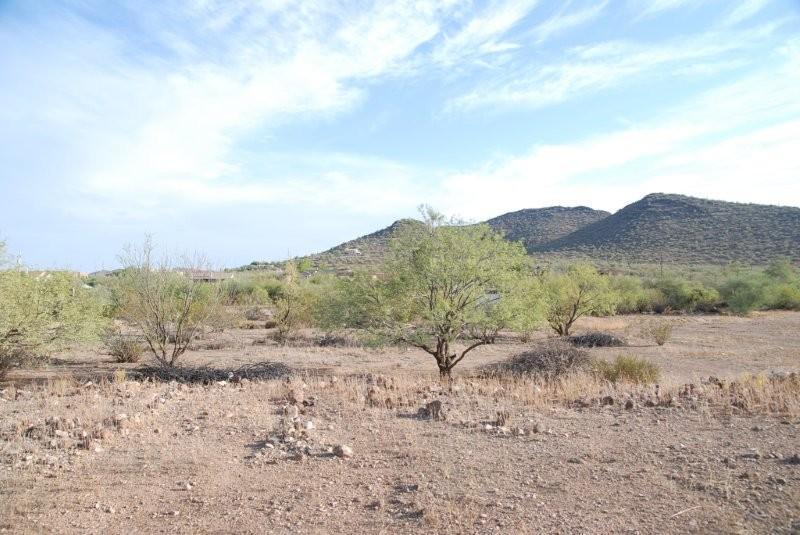 lot view