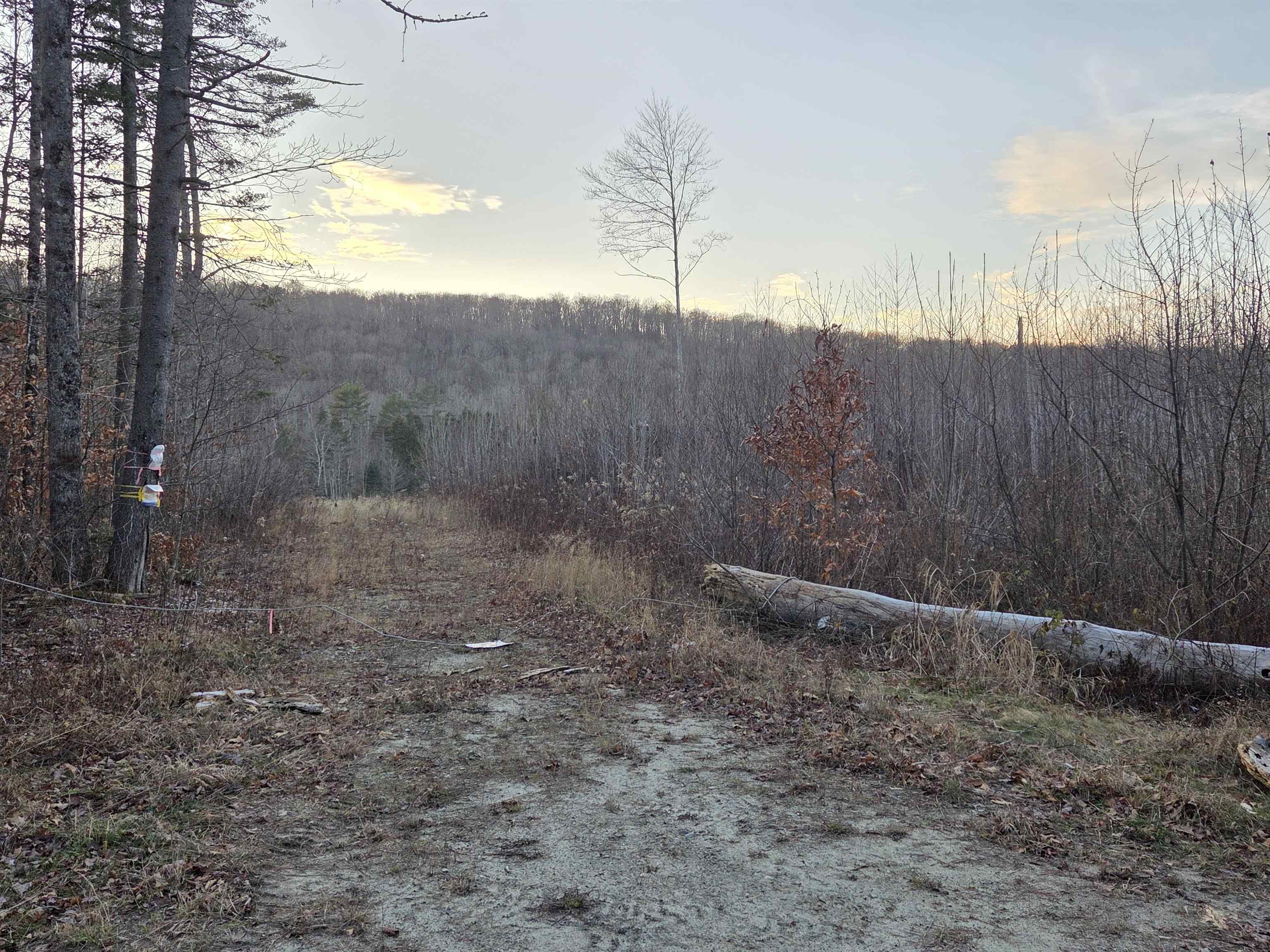 672-3 Bog Road, Unit 3 Enfield, NH 03753 - Photo 1 of 9