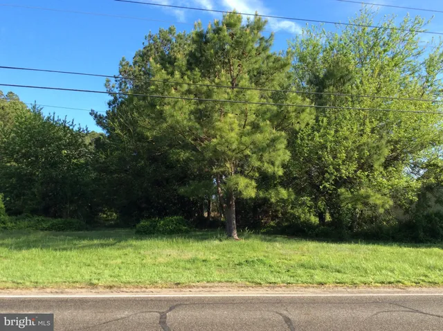 a view of backyard with green space
