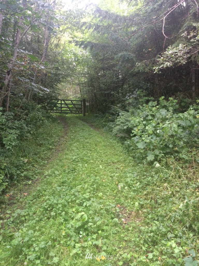 123-off Center Road Quilcene, WA 98376 - Photo 3 of 6