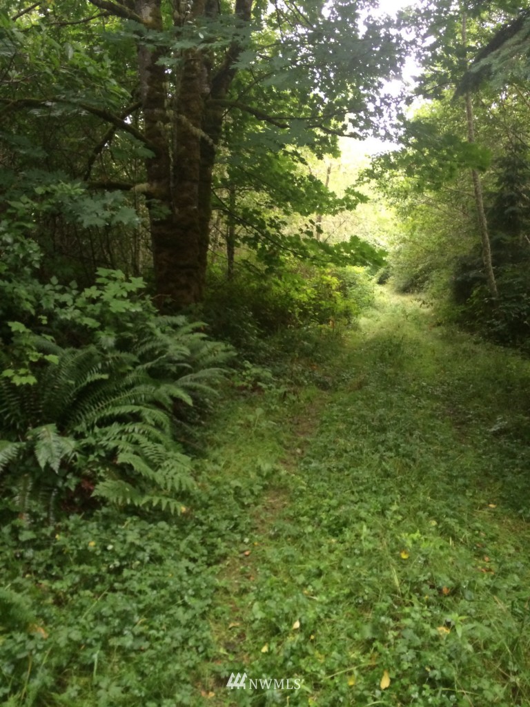 123-off Center Road Quilcene, WA 98376 - Photo 5 of 6
