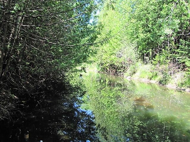 8325 Thiem Canal Road Alpena, MI 49707 - Photo 16 of 19 Gallery Image 16