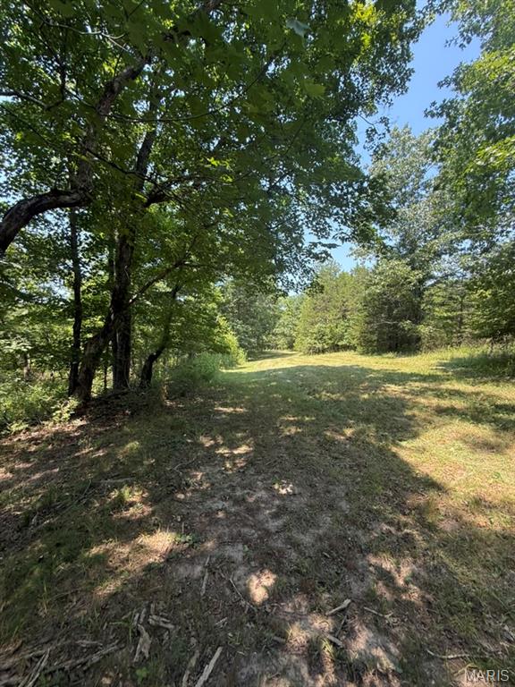 9007 Crossman Road Bonne Terre, MO 63628 - Photo 47 of 55 Gallery Image 47