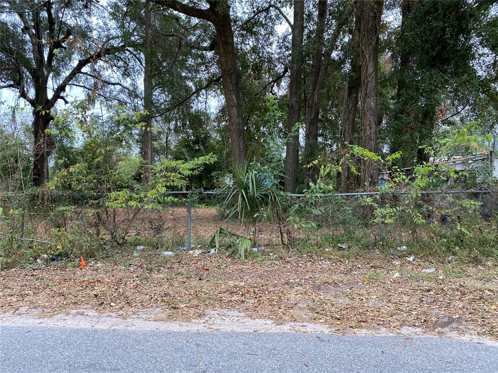 15th Avenue Ocala, FL 34475 - Photo 3 of 3 a backyard of a house with lots of green space