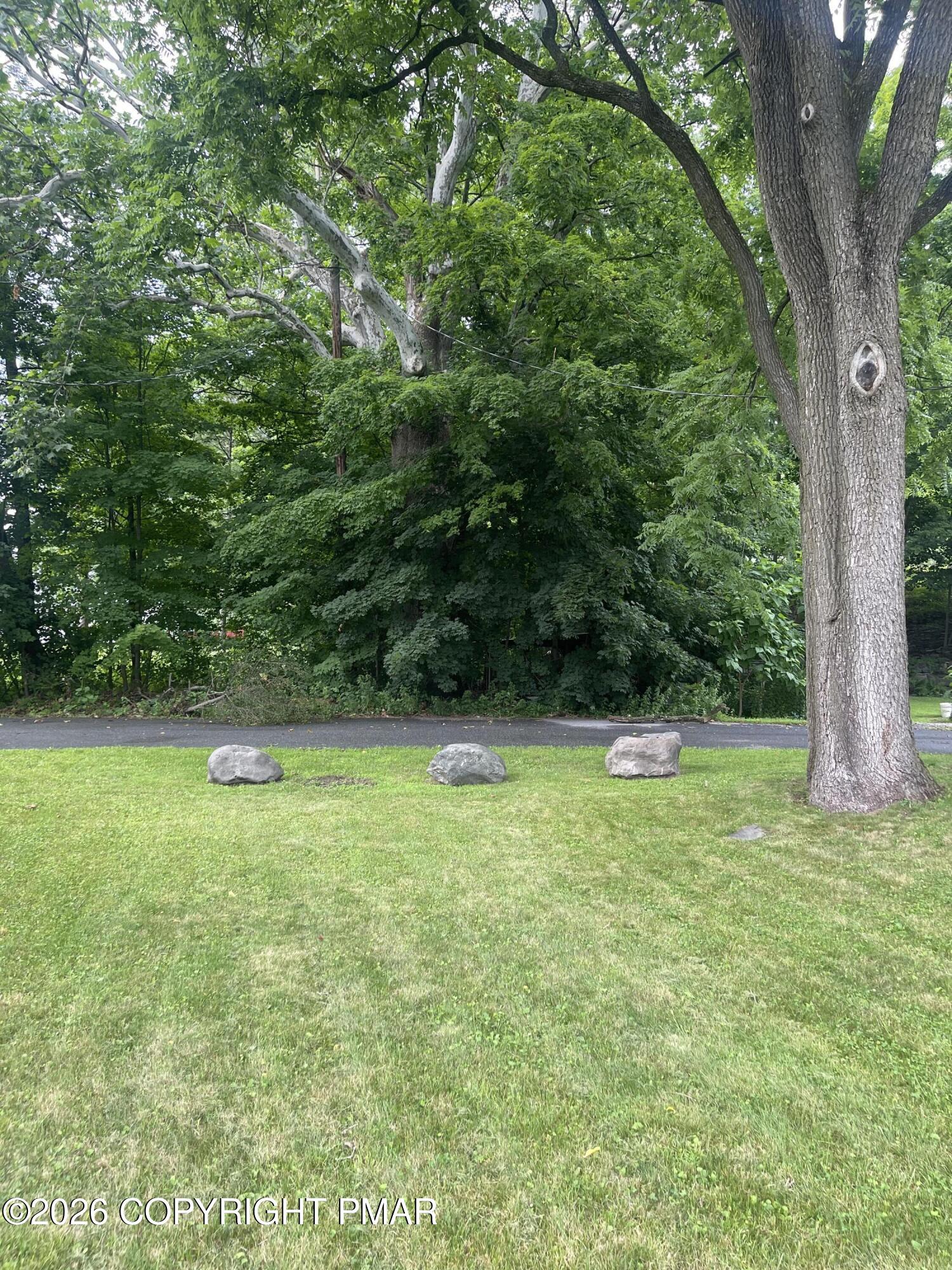 353 Learn Road Tannersville, PA 18372 - Photo 19 of 19 IMG_7024