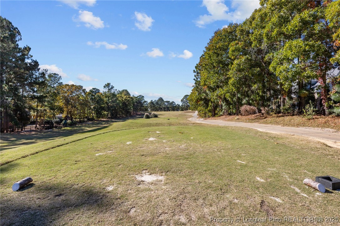 2904 Hampton Ridge Road Fayetteville, NC 28311 - Photo 42 of 50 a view of yard with swimming pool and trees