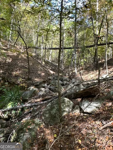 $217,390 | 2 Dennis Creek Road, Box Springs, GA 31801