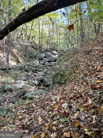 $217,390 | 2 Dennis Creek Road, Box Springs, GA 31801