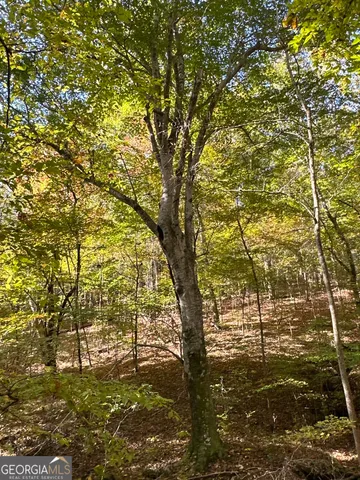 $217,390 | 2 Dennis Creek Road, Box Springs, GA 31801