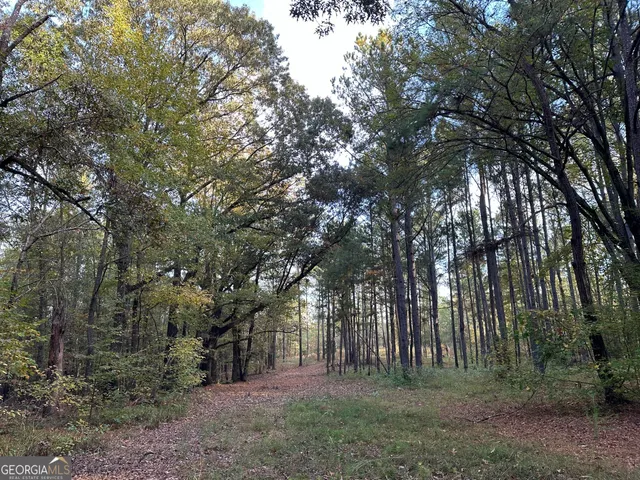 $217,390 | 2 Dennis Creek Road, Box Springs, GA 31801