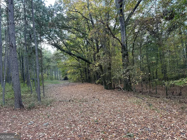 $217,390 | 2 Dennis Creek Road, Box Springs, GA 31801