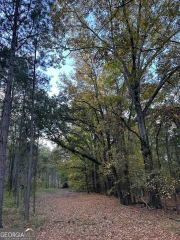 $217,390 | 2 Dennis Creek Road, Box Springs, GA 31801