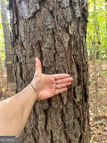 $217,390 | 2 Dennis Creek Road, Box Springs, GA 31801