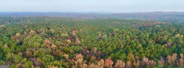 $217,390 | 2 Dennis Creek Road, Box Springs, GA 31801