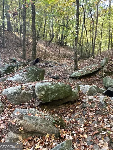 $217,390 | 2 Dennis Creek Road, Box Springs, GA 31801