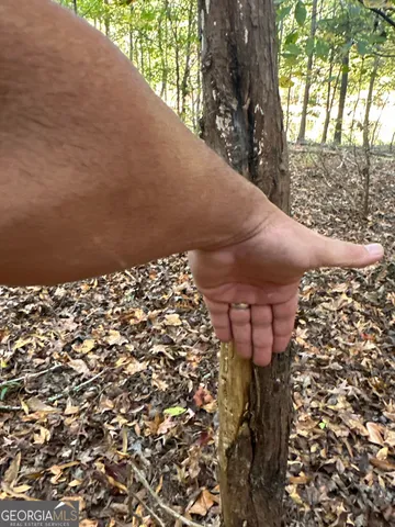 $217,390 | 2 Dennis Creek Road, Box Springs, GA 31801