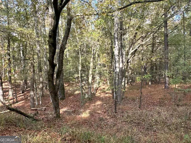 $217,390 | 2 Dennis Creek Road, Box Springs, GA 31801