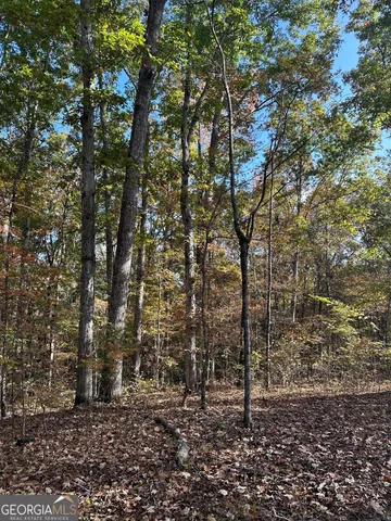 $217,390 | 2 Dennis Creek Road, Box Springs, GA 31801