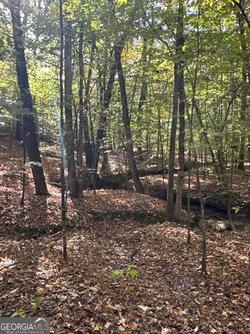 $217,390 | 2 Dennis Creek Road, Box Springs, GA 31801