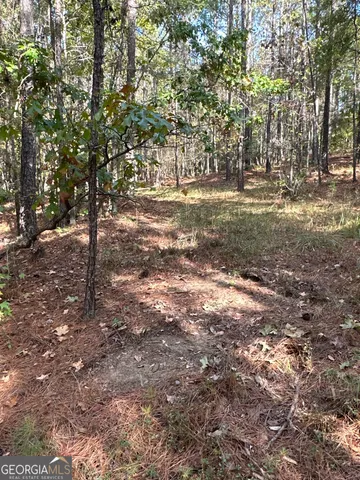 $217,390 | 2 Dennis Creek Road, Box Springs, GA 31801