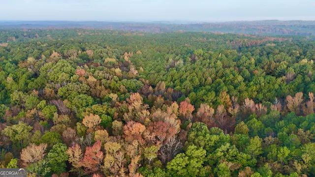 $217,390 | 2 Dennis Creek Road, Box Springs, GA 31801