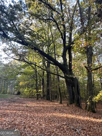 $217,390 | 2 Dennis Creek Road, Box Springs, GA 31801