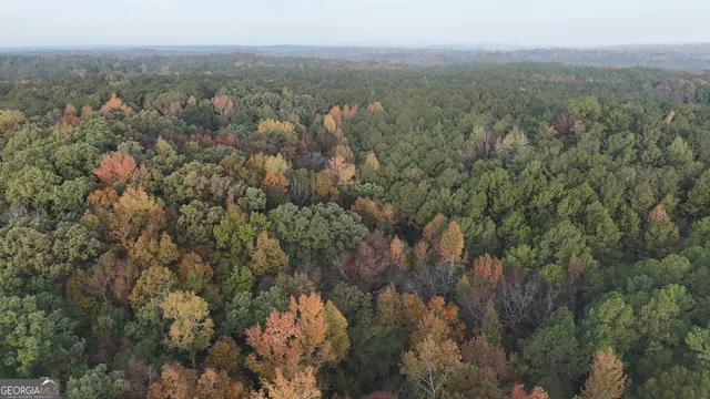 $217,390 | 2 Dennis Creek Road, Box Springs, GA 31801