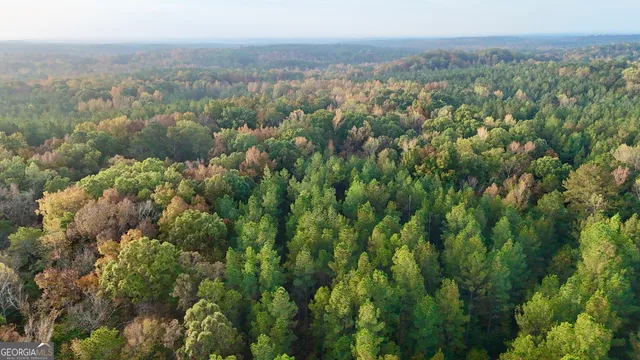 $217,390 | 2 Dennis Creek Road, Box Springs, GA 31801