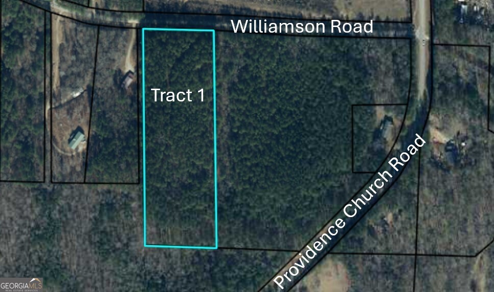 Tract 1 Williamson Road Tallapoosa, GA 30176 - Photo 1 of 1 Gallery Image 1