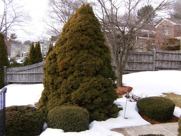 94 Woodside Road Medford, MA 02155 - Photo 2 of 21 Gallery Image 2