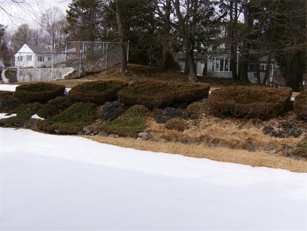 94 Woodside Road Medford, MA 02155 - Photo 21 of 21 Gallery Image 21