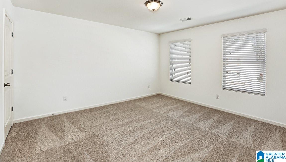 209 Belmont Way Chelsea, AL 35043 - Photo 12 of 22
