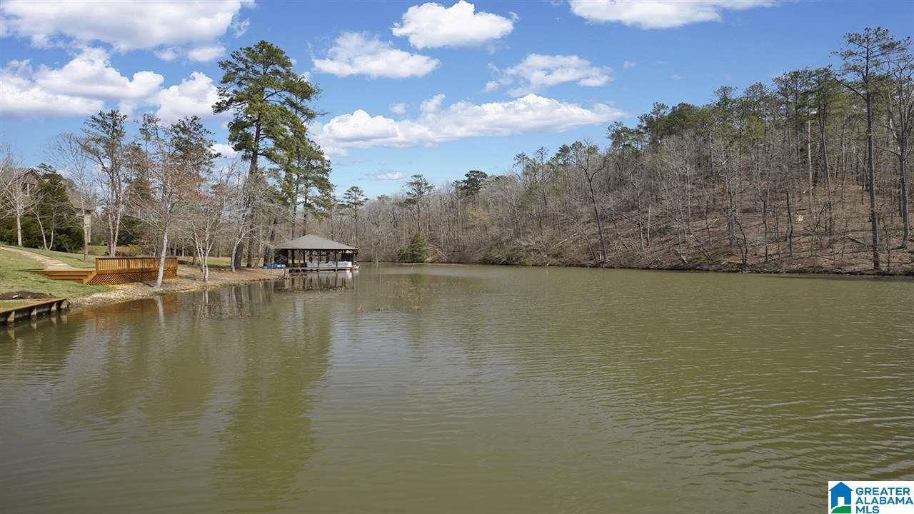256 Big Y Cv Loop Rockford, AL 35136 - Photo 43 of 50