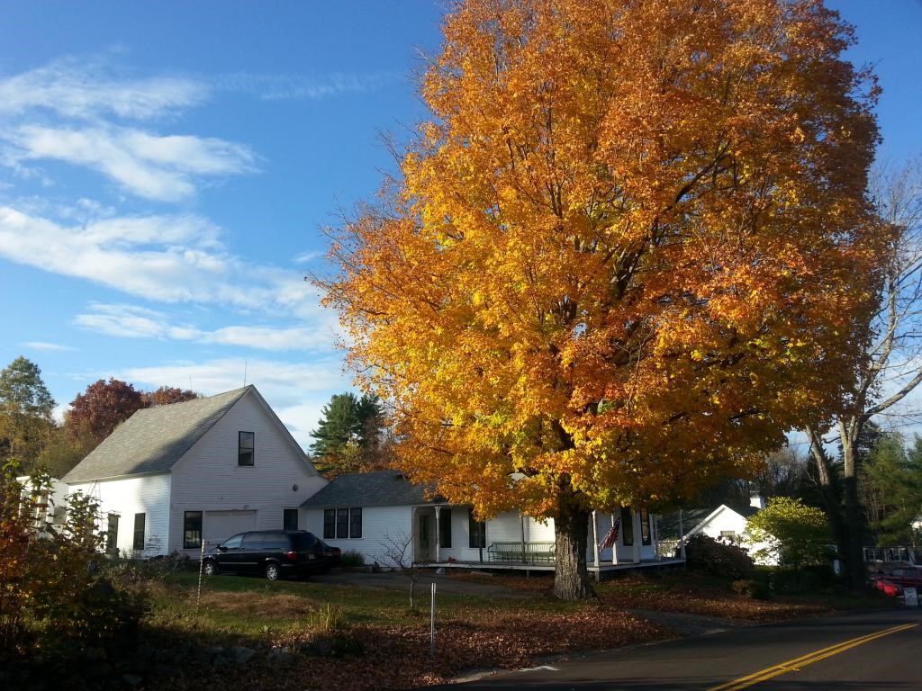 115 Concord Stage Road Weare, NH 03281 - Photo 36 of 36